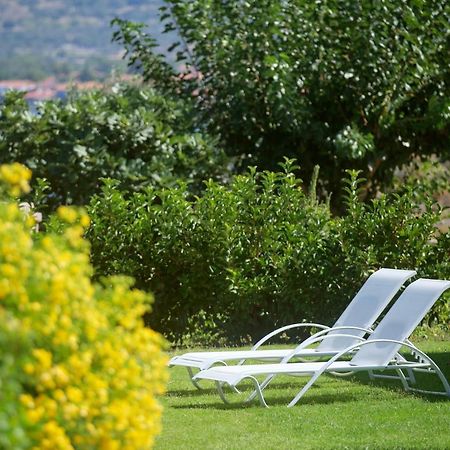 Little Bird Lesvos Aparthotel Πέτρα Εξωτερικό φωτογραφία