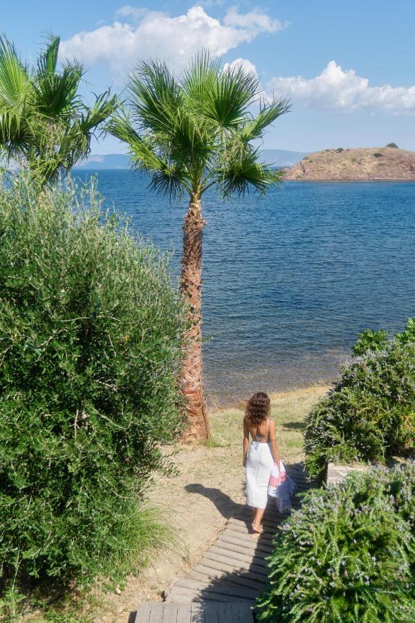 Little Bird Lesvos Aparthotel Πέτρα Εξωτερικό φωτογραφία