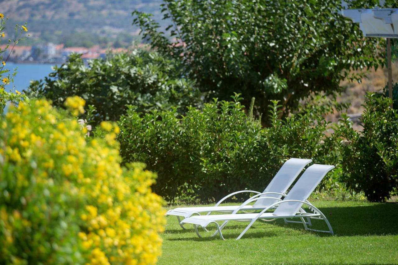 Little Bird Lesvos Aparthotel Πέτρα Εξωτερικό φωτογραφία