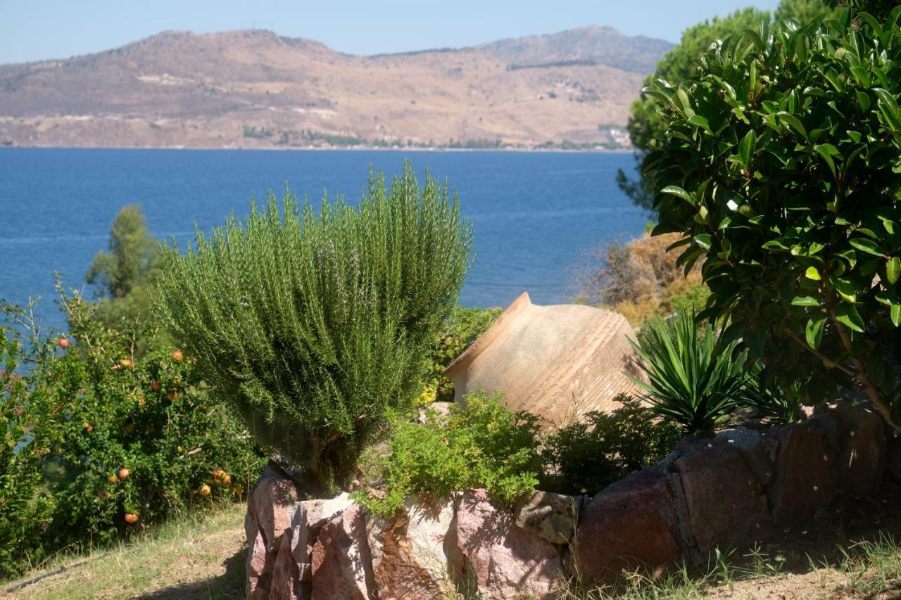 Little Bird Lesvos Aparthotel Πέτρα Εξωτερικό φωτογραφία