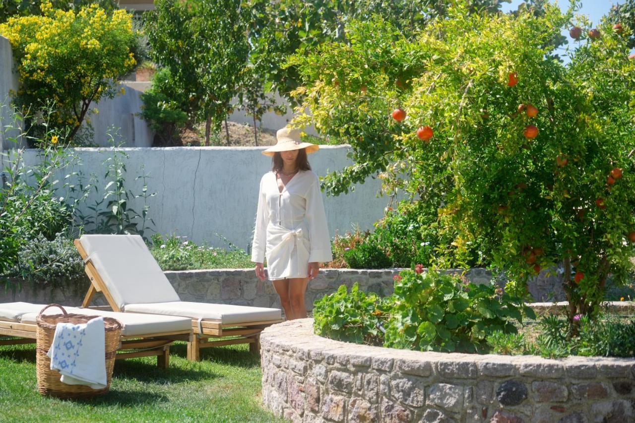 Little Bird Lesvos Aparthotel Πέτρα Εξωτερικό φωτογραφία