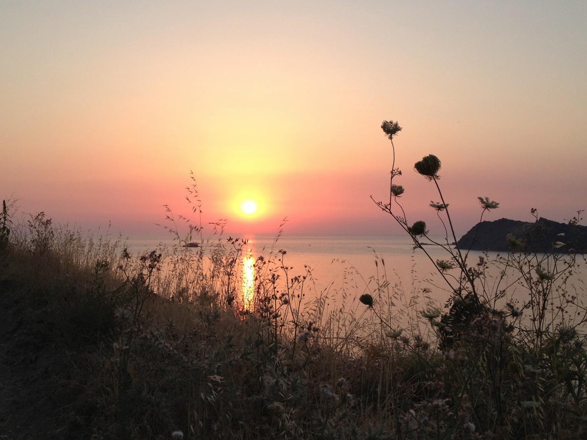 Little Bird Lesvos Aparthotel Πέτρα Εξωτερικό φωτογραφία