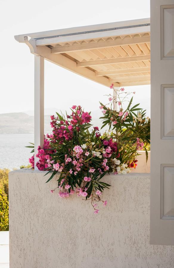 Little Bird Lesvos Aparthotel Πέτρα Εξωτερικό φωτογραφία